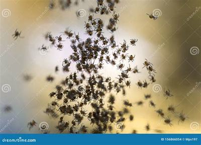 福安熱血封神H5_刀劍萌俠(0.1折版) 助力創業者騰飛的良機市場營銷策劃